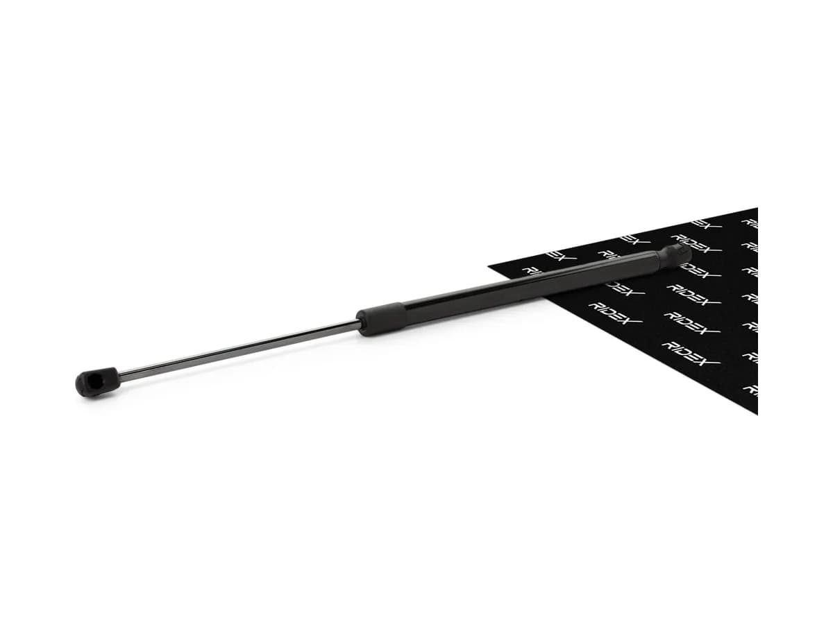 Gas Spring