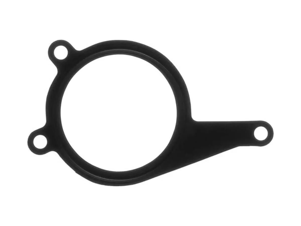 Sealing Gasket