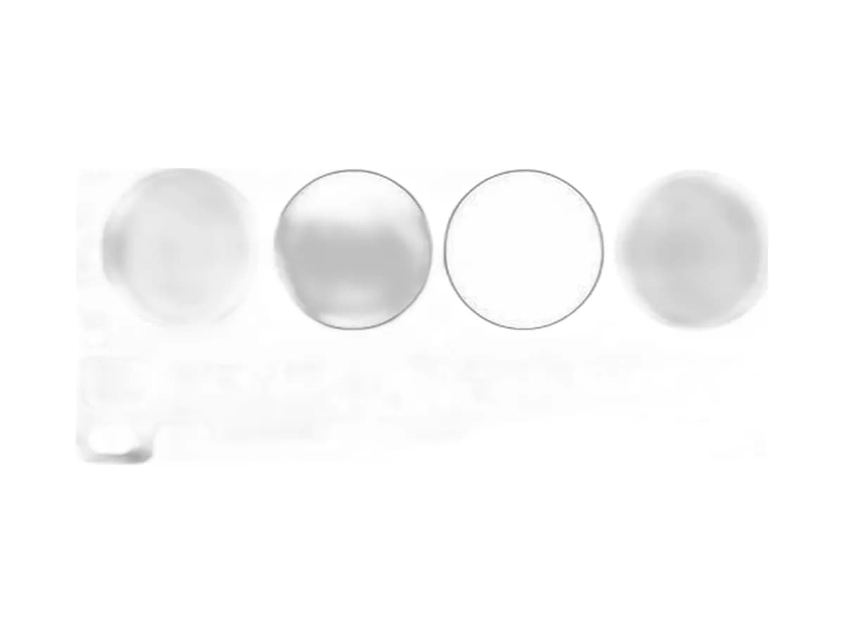 Cylinder Head Gasket