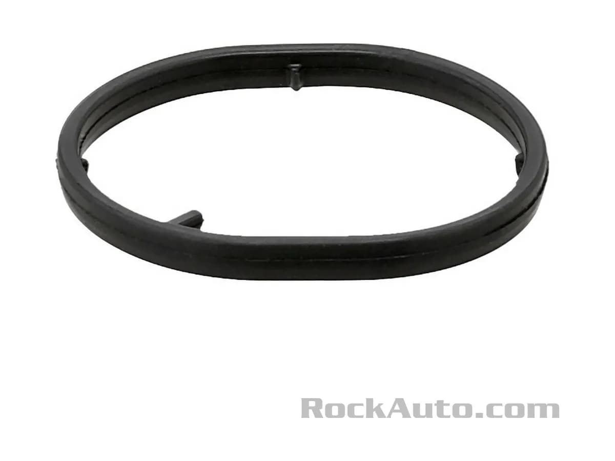 Oil Cooler Gasket