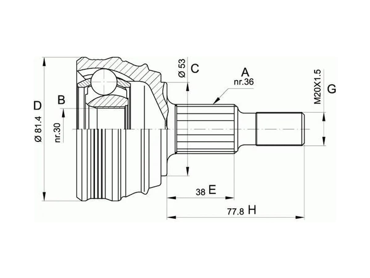 C.V Joint