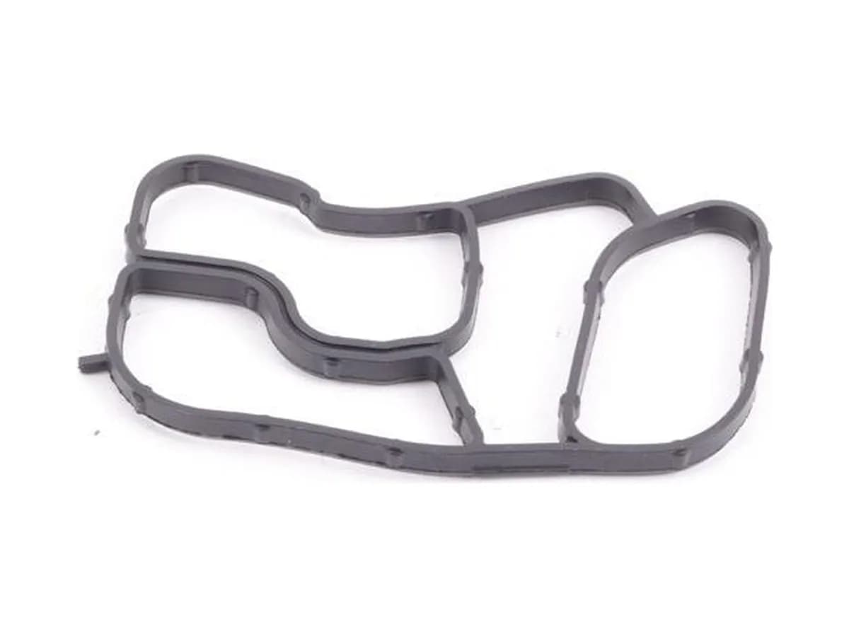 Oil Cooler Gasket